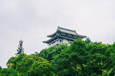 卡普空发布《怪物猎人：荒野》介绍视频 更多实机画面曝光